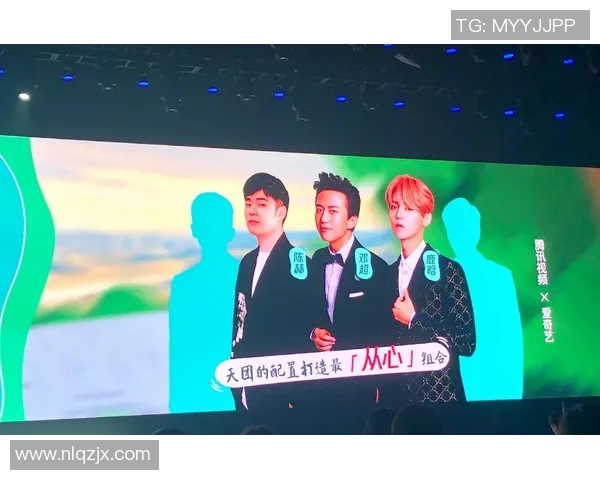 中国足球顶级明星阵容揭秘与未来发展展望