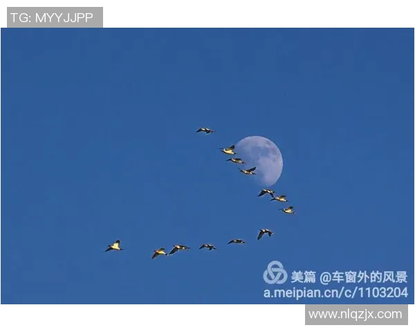 晚霞映衬下的男篮球明星展现青春活力与梦想追逐的完美瞬间